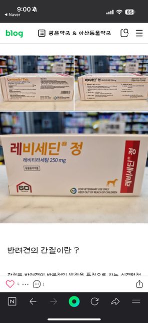 허스키간질인데 이 약 의사 처방 받아야 구매할수있나요?의 0번 째 이미지