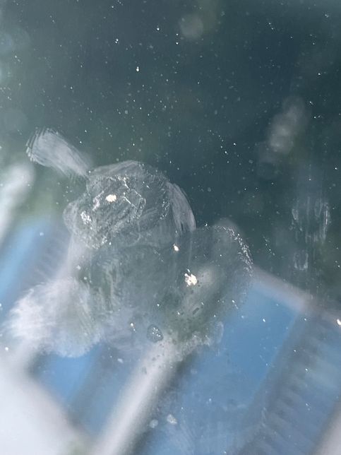 자동차 미세돌빵 복원 해야할까요???의 0번 째 이미지