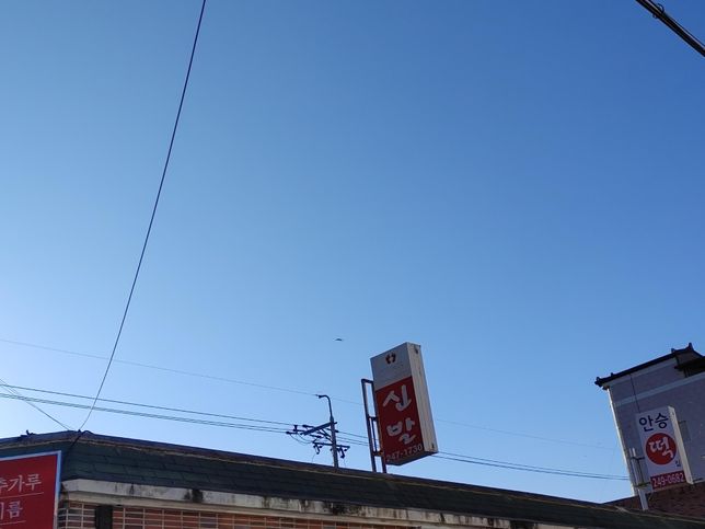 설 전날에 사람들이 무엇때문에 몹시 예민해져 있어요?의 0번 째 이미지