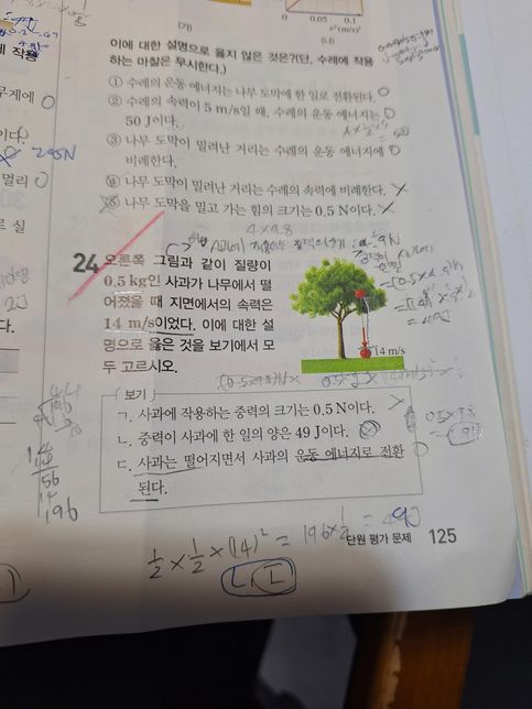 과학에서의 일과 에너지에서 중력이 사과에 한일=운동에너지의 0번 째 이미지