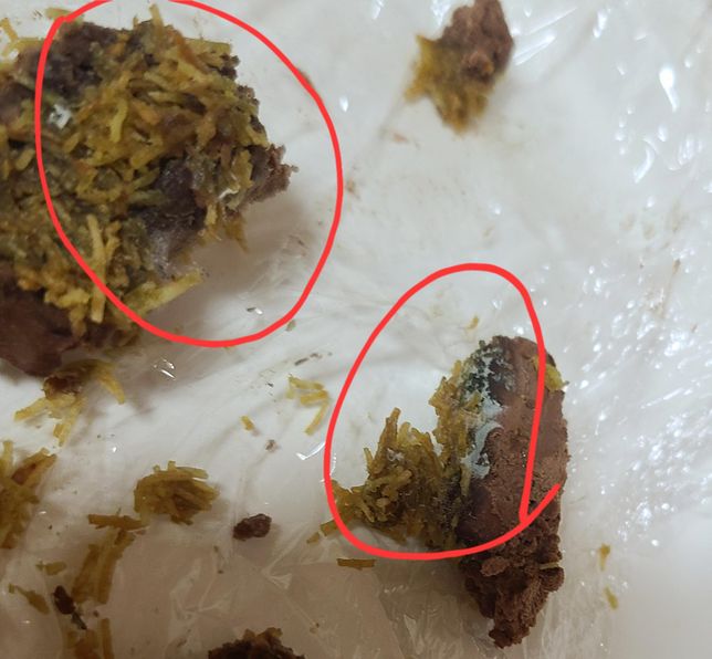 케이크에 곰팡이? 핀건가요? 이미 먹었는데 병원가야 하나요?의 0번 째 이미지