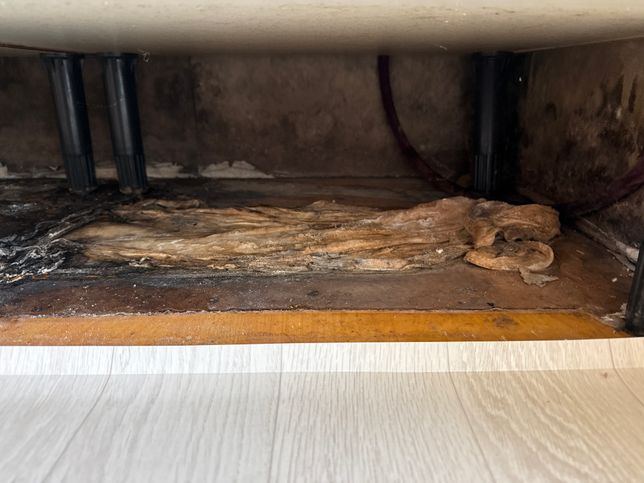 싱크대 밑 걸레받이 누수인가요???의 0번 째 이미지