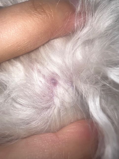 병원 빨리 가야하는게 좋을까요,..?의 0번 째 이미지