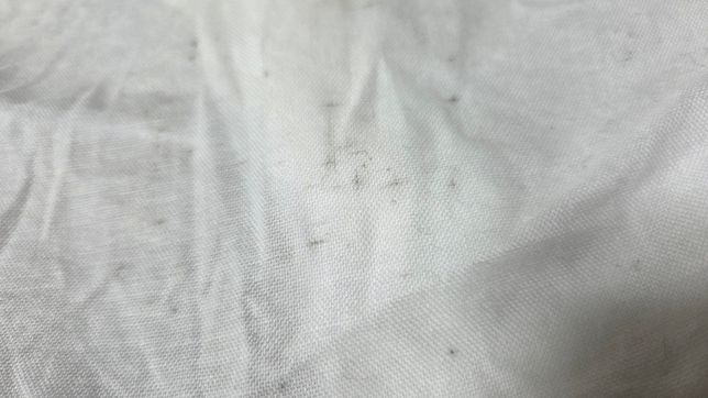 셔츠에 묻은 이상한 얼룩 제거법 알려주세요의 1번 째 이미지