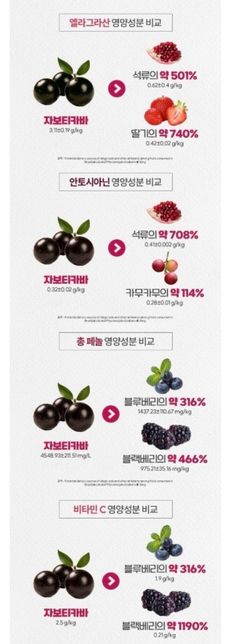거북이의 장수비결 주스라고 칭한다는 자보티카바 주스의 효능은?의 0번 째 이미지