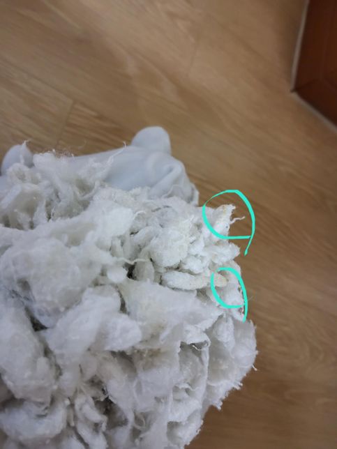 인형 안에 솜 곰팡이 일까요?????의 1번 째 이미지