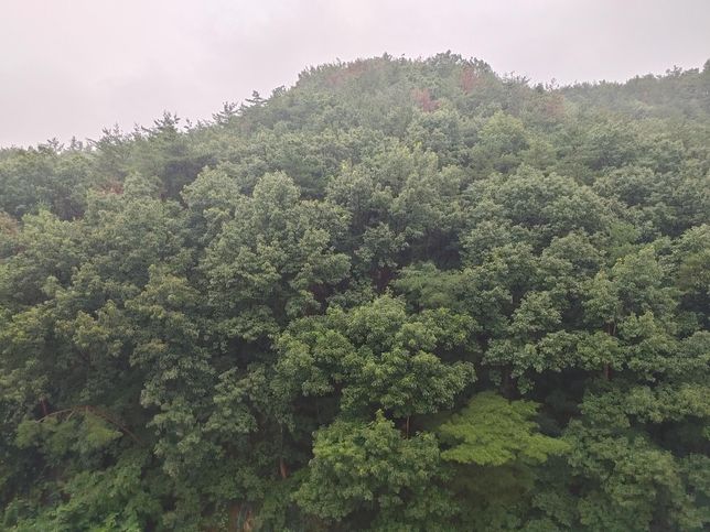 에어컨을 틀면 몸만 덜 더울 뿐 아니라 집에 습기도 사라지는 이유가 무엇 때문인가요?의 0번 째 이미지