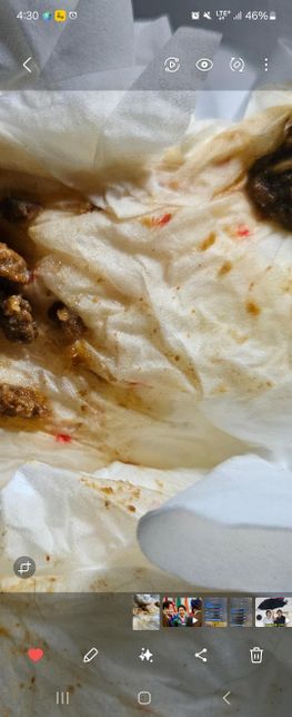 강아지 복명음 . 피섞인 혈 토.....의 0번 째 이미지