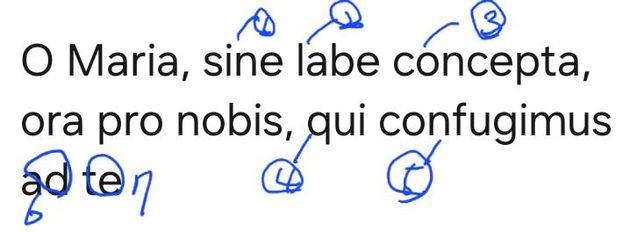 이글 단어및 뜻좀해석좀 해주세요 프랑스어인지 무슨말인가요? 라틴어인가요 포루투갈어인가요?의 0번 째 이미지