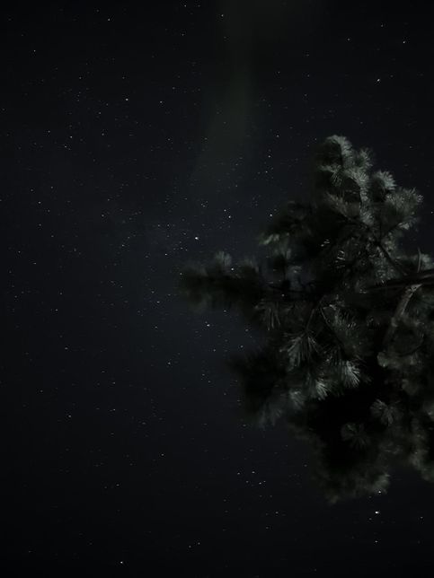 울진에서 별 사진을 찍었는데 오로라 같은 게 찍혔어요의 0번 째 이미지