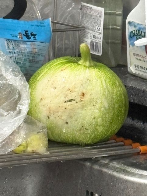 호박 요리 추천해주세요 레시피두 ㅎㅎ의 0번 째 이미지