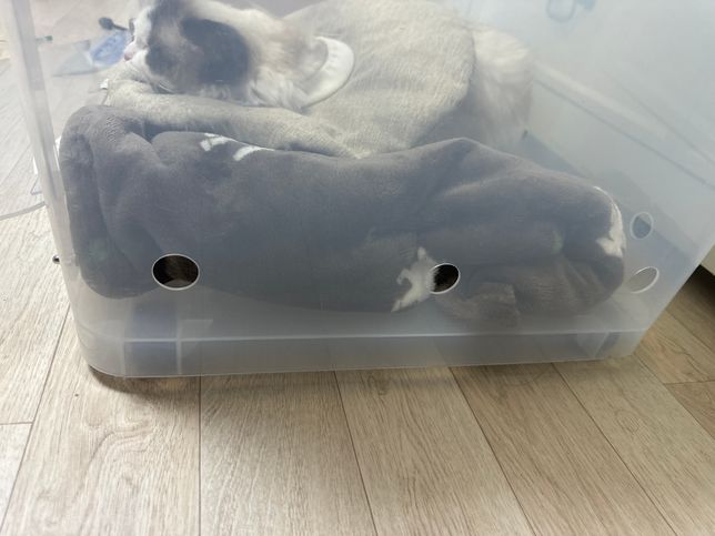 산소방 출력 농도와 내부 농도에 대해 알려주세요의 0번 째 이미지