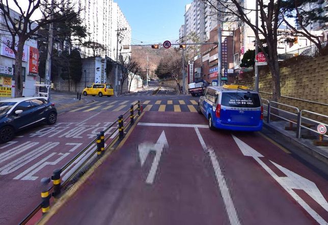 교통사고로 인해 한순간에 강아지가 죽었습니다의 0번 째 이미지