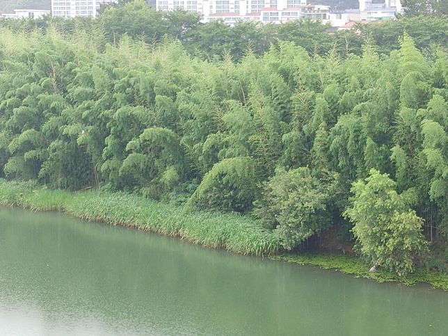 에어컨을 틀면 몸만 덜 더울 뿐 아니라 집에 습기도 사라지는 이유가 무엇 때문인가요?의 3번 째 이미지