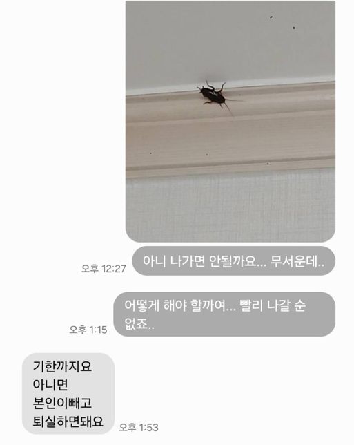 집에 관련하여 물어봅니다.....의 0번 째 이미지