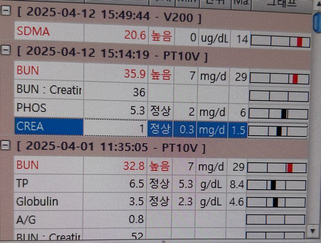 강아지 신부전 .. 어떻게 해줘야 할지의 0번 째 이미지