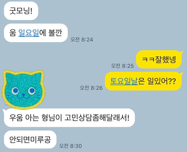 제가 소개팅남한테 월요일날 토요일날 시간되냐고 물어봤는데 대답 안해주고 금요일인 오늘 아는형이 고민있다고 일욜날 보자그러는데 저한테 그렇게까지의 0번 째 이미지