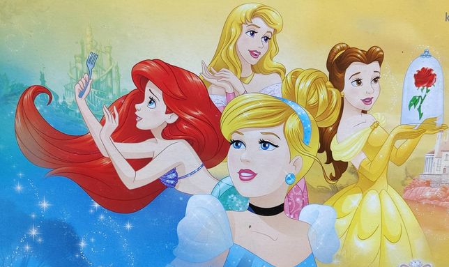 날이 갈수록 할인매장에 디즈니 프린세스 계열로 된 물건이 줄어드는 이유의 0번 째 이미지