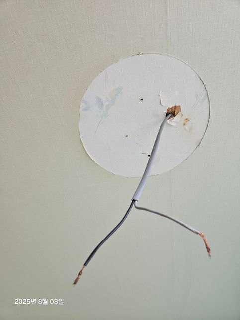 오래된집 전등을 달러고 하는디 검은색선 회색선이 있어요 이게 먼가요??의 0번 째 이미지