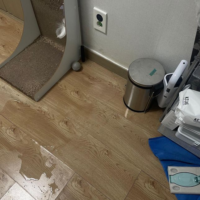 천장 누수로 인한 화장실 곰팡이 문제와 원룸 바닥재 문제의 1번 째 이미지