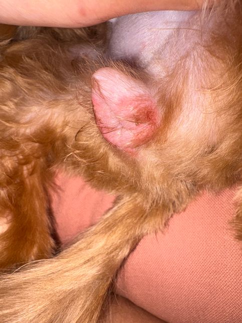 더 심해진건지 괜찮아지고 있는지 모루겠어여의 0번 째 이미지