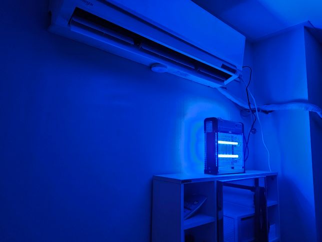 모기퇴치기를 구매했는데, 고양이 눈에 괜찮을까요?의 1번 째 이미지