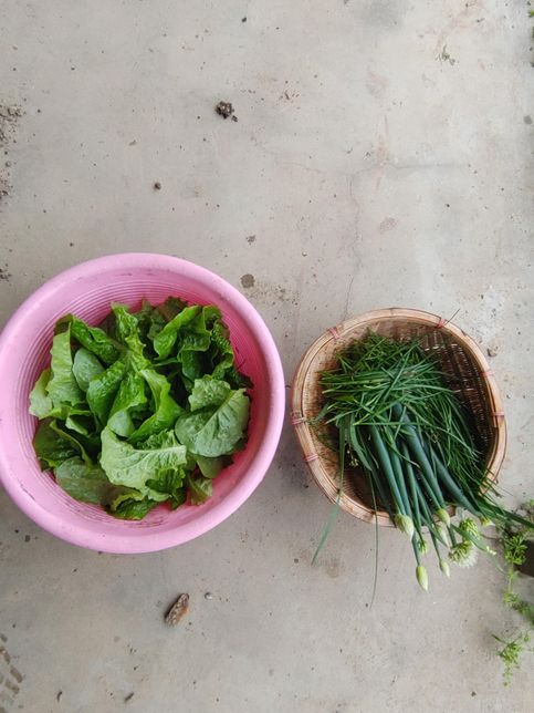 비가 많이 올 때 채소가 더 잘 자라는 이유가 무엇인가요?의 2번 째 이미지