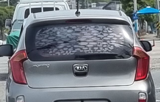 이 자동차 뒷창의 썬팅은 왜 이런건가요?의 0번 째 이미지