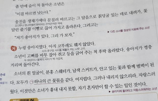 소녀도 같이 소에 탔나요??????의 0번 째 이미지