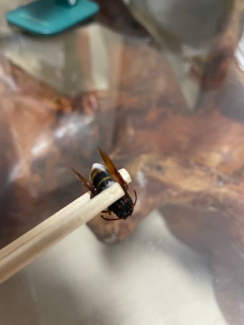 이거 무슨 벌인가요… 자꾸 집에 들어오네요의 0번 째 이미지