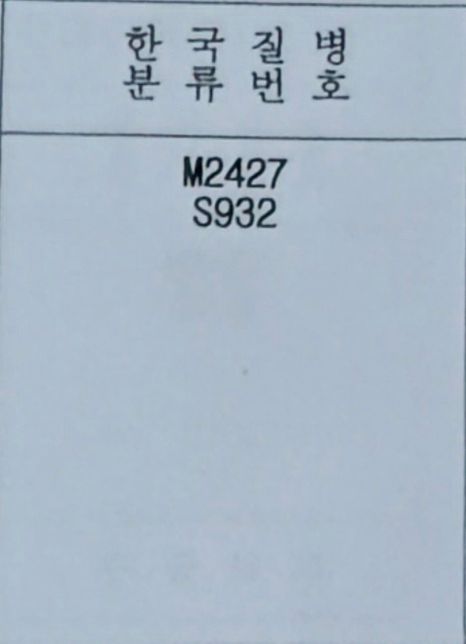 진단서 보험 코드 두개 보험 지급 관련.의 0번 째 이미지