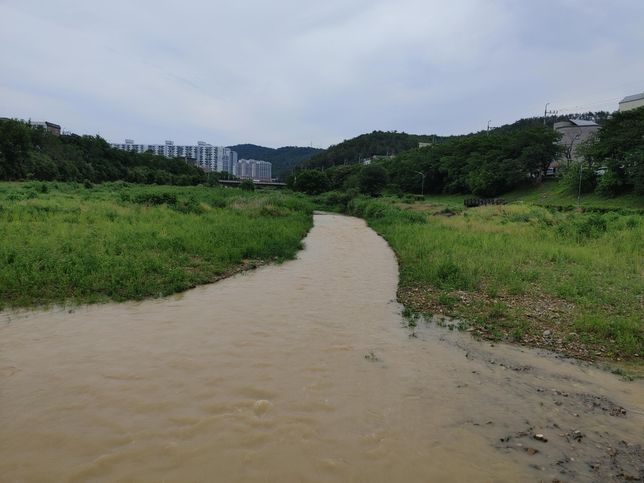산 속 시골을 철거한 자리에 아파트도 짓고 강 근처 하류에 배수로를 정비하고 공사할 때는 왜 하천도 송두리채 파고 넓히면서 가꾸어야 되나요?의 3번 째 이미지