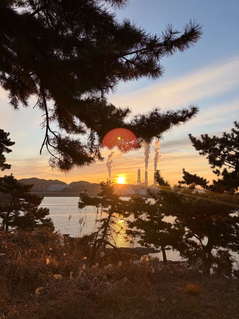 아이폰 17 카메라 이상함 빨간원 샹김의 1번 째 이미지