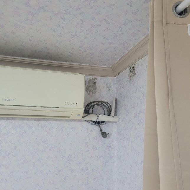 입주한 월세 방에 곰팡이를 어떻게 해결해야 할까요?의 1번 째 이미지