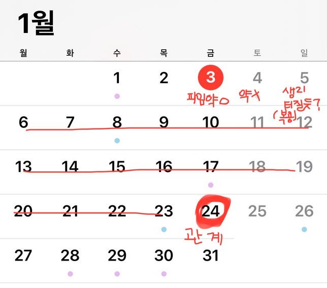 경구피임약 복용법 알려주세요!!!의 0번 째 이미지