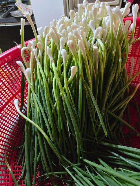 파김치 하려고 하는데요 작년 김장 양념의 1번 째 이미지