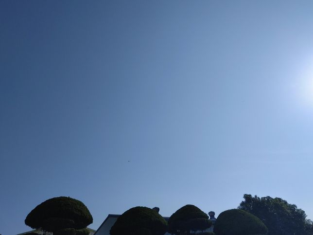 공장지대 근처 도로와 벽에는 왜 버스정류장을 배치하는 경우가 드물어요?의 0번 째 이미지