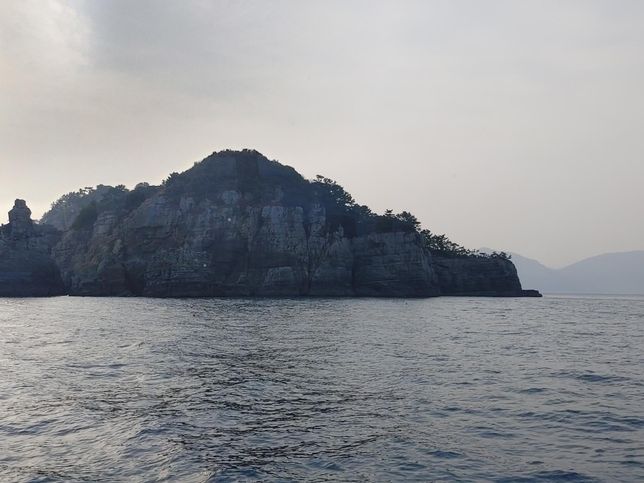 우리나라 국내에 아비도래지는 왜 거제도에 집중되어 있나요?의 1번 째 이미지