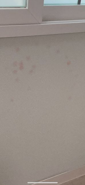 벽지 관련 질문이 있습니다. 곰팡이인지 아닌지 궁금합니다.의 0번 째 이미지