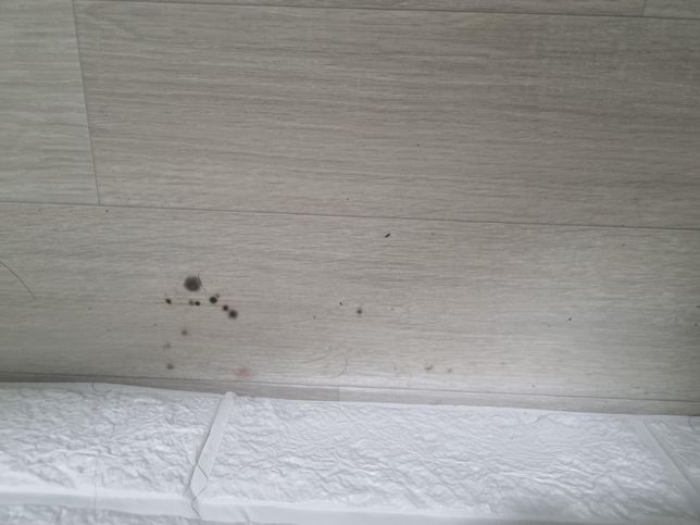 월세 하자 보수 안해주며 손해배상청구?의 1번 째 이미지