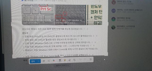 캡쳐 Windows+Shift+S로 .... 캡쳐후에 왜 갑자기 저런문구가뜰까요ㅕ의 0번 째 이미지