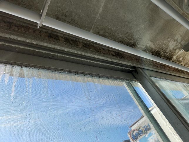 원룸 곰팡이 관련... 세입자,임대인 누구 탓일까요?의 3번 째 이미지