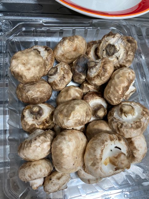 양송이버섯 상태 변한건가요?? ??의 1번 째 이미지