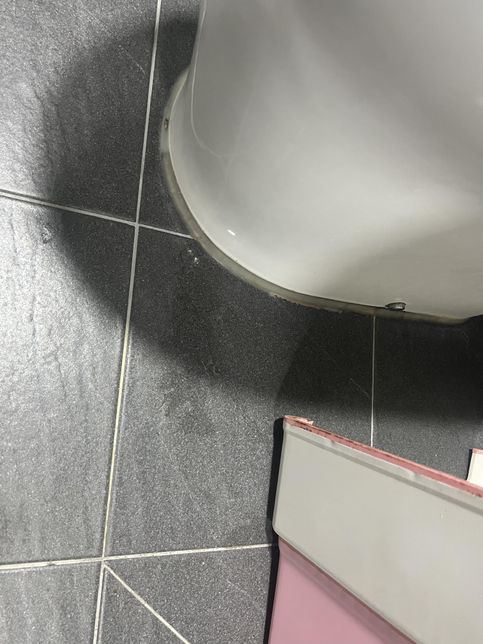 화장실 변기에서 물이 조금 세는데 교체해야 하나요??의 0번 째 이미지