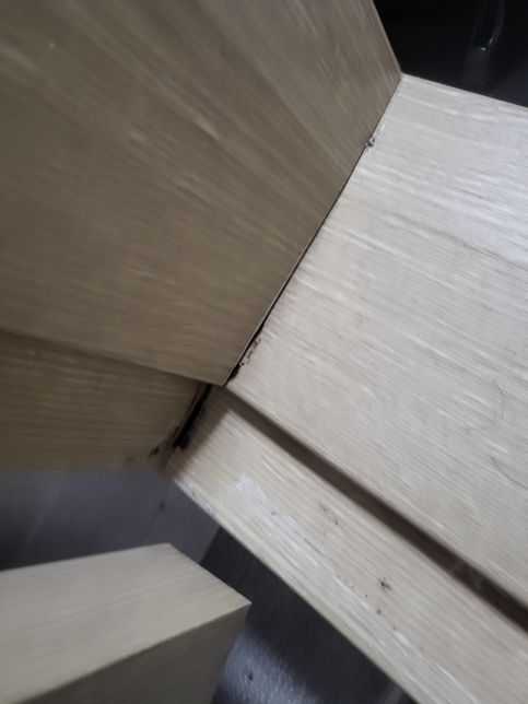 휴가 갔다왔는데 곰팡이기 핀 거 같아요의 2번 째 이미지