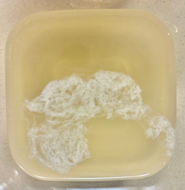 과일또는채소의 수분함량과 점성에 따른 과일또는채소의 특징을 알려주세요!의 2번 째 이미지