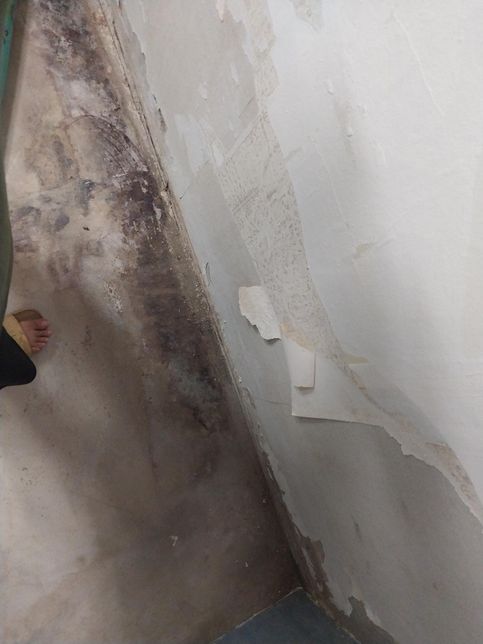 썩은집 개보수 시공 어떤거 해야할지 알려주세요 견적도 부탁의 0번 째 이미지