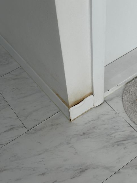 화장실 옆 벽면 수리 문의드립니다. 사진 첨부합니다의 0번 째 이미지