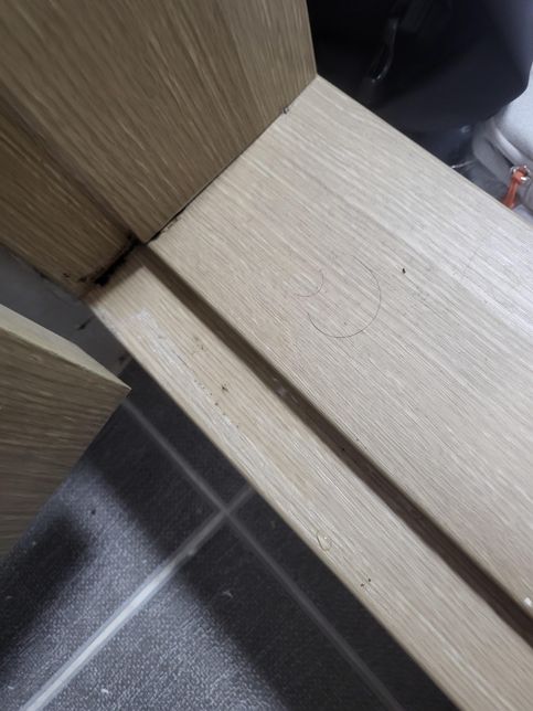 휴가 갔다왔는데 곰팡이기 핀 거 같아요의 1번 째 이미지