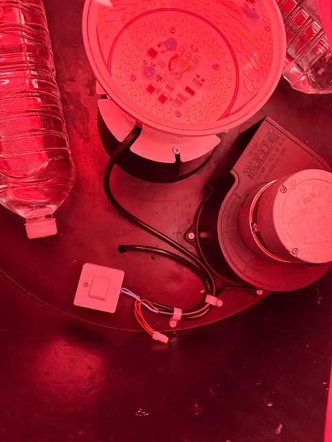 이런 똑딱이 콘세트도 타이머로 교환할수있나요?의 0번 째 이미지